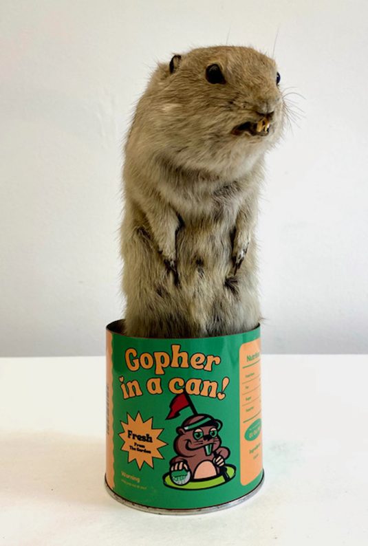 The General Store: Ben Evely And Nahanni Mckay