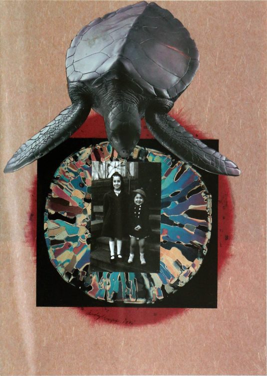 Judy Wapp: Visualchemy