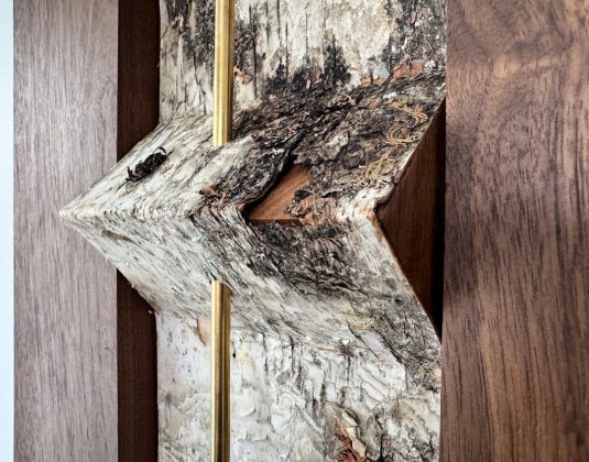 Dustin Coulson: Unnatural Order