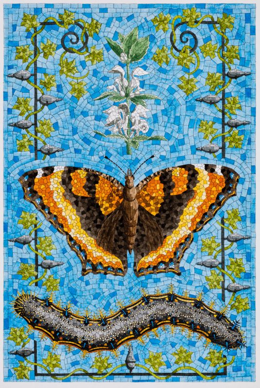The Church of Lepidoptera: David Cohen