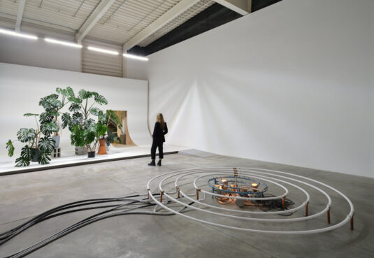 Abbas Akhavan: One Hundred Years