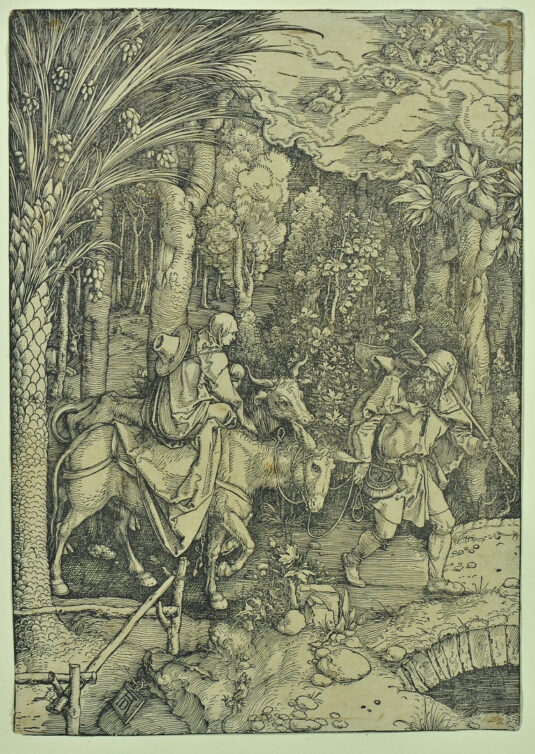 Dangerous Beauty: The Prints of Albrecht Dürer