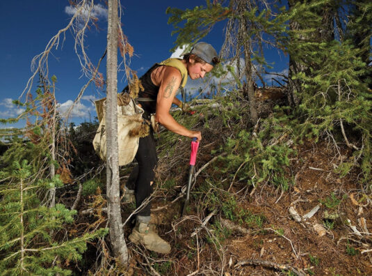 The Tree Planters: Rita Leistner