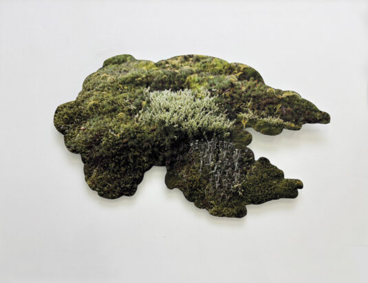 Fei Disbrow: The Familiar Unfamiliar