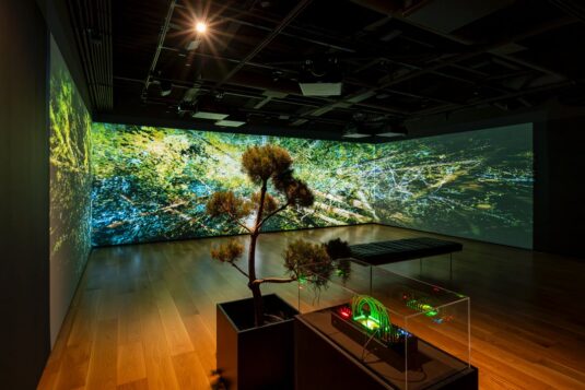 Nelly-Eve Rajotte: Trees Communicate with Each Other at 220 Hertz
