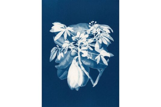 Karen Zalamea: Every Surface Is a Shrine