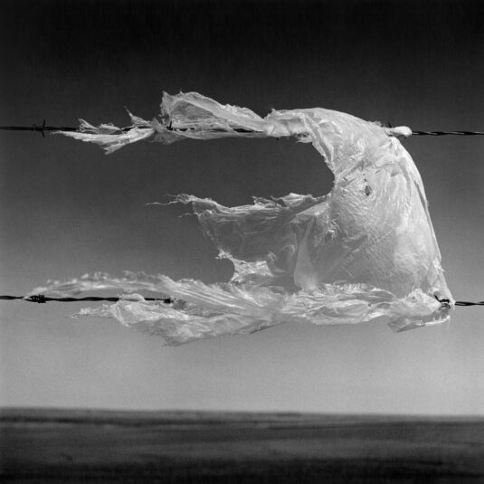 Wes Bell: Snag