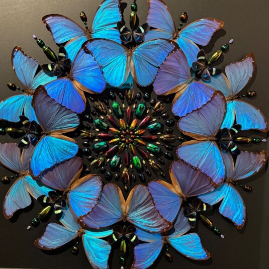 Exquisite Creatures