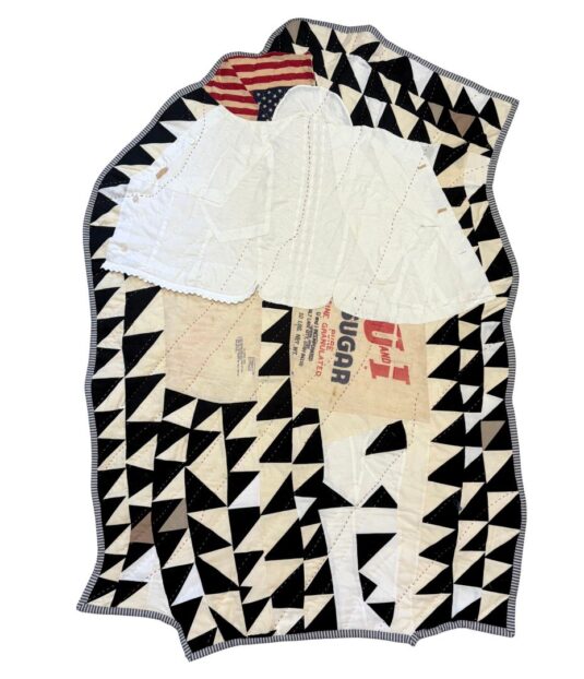 2026 International Quilt & Fiber Arts Festival