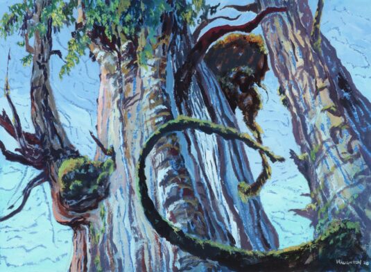 Portraits—The Ancient Ones: David A. Haughton