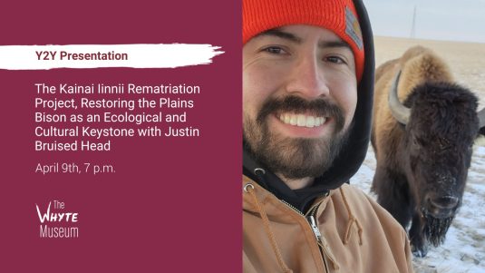 Y2Y- The Kainai Iinnii Rematriation Project with Justin Bruised Head