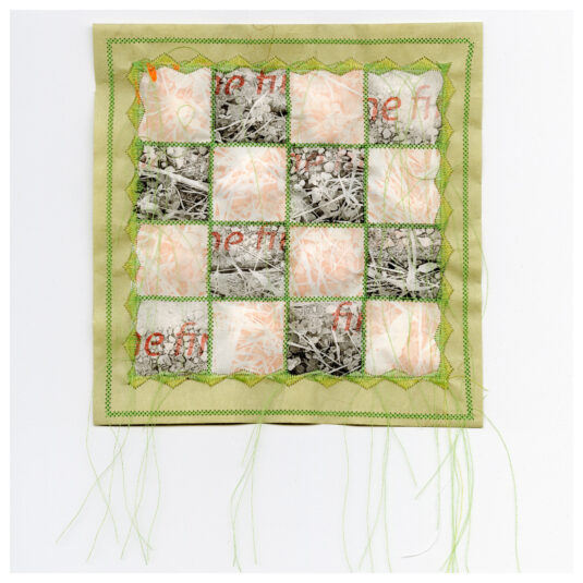Heather Leier: 'Practice Pinny'