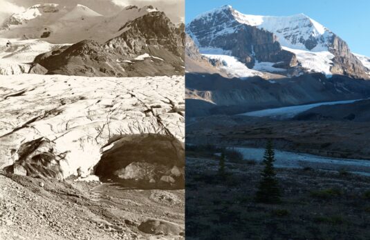 The Long View: Repeat Photography in Science and Art (virtual)