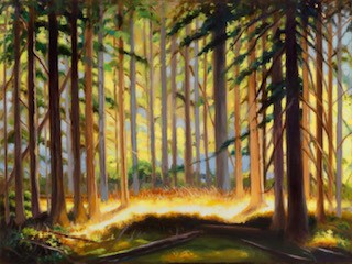 As Spring Spills into Summer