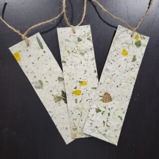 Making Paper Bookmarks with Invasive Plants with Joshua Ralph