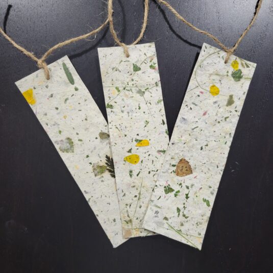 Making Paper Bookmarks with Invasive Plants with Joshua Ralph