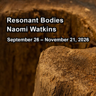 Resonant Bodies