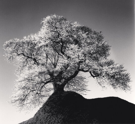 Michael Kenna's "Beautiful Fukushima"